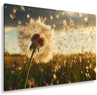 deyoli Leinwandbild Pusteblume im Flug – flüchtige Träume im Abendlicht. Format:90x60cm XXL Kunstdruck Bild auf Keilrahmen/Wandbild/Wohnzimmer Dekoration