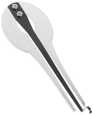 Maultrommel aus Metall, Tragbares Anfängerinstrument, Silber | Leicht zu Spielen, für Entspannung und Meditation, Traditionelles Instrument, Ethnisches Musikinstrument, Handlich