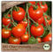 Samenliebe BIO Cherrytomaten Samen Zuckertraube besonders süße Cocktailtomate Tomate rot 10 Samen samenfestes Gemüse Saatgut für Gewächshaus Freiland und Balkon BIO Gemüsesamen