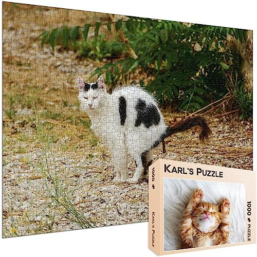 Scherzpuzzle Geschenk Kätzchen/Katze - 1000 Teile Puzzle mit falschem Kartonmotiv als lustige Geschenkidee, Scherzartikel oder Scherzgeschenk