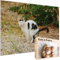 Scherzpuzzle Geschenk Kätzchen/Katze - 1000 Teile Puzzle mit falschem Kartonmotiv als lustige Geschenkidee, Scherzartikel oder Scherzgeschenk