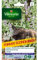 Vilmorin - Sachet de graines Cataire Menthe des Chats format économiqe