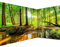 murando Premium Photo Wallpaper Forest Landscape 550x250 cm / 217x98 Non-Woven Premium Art Print Fleece Wall Mural Decoration Poster Picture Design Modern Angle Modern Nature Tree c-B-10040-a-a