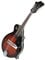 Mandoline-Instrument F-Typ 8-saitige Mandoline-Gitarre, Musikinstrument, Fichtensperrholzplatte Mit Lederetui
