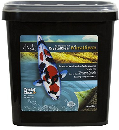 CrystalClear WheatGerm Fish Food for Freshwater Ponds, 4.4 lb Bucket