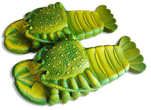 Watwass Sandales Bout Ouvert Femme Drôle Animal Chaussures de Plage Piscine Maison Mules Homme 36-44