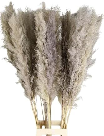 Ramo Decorativo de Cinco Unidades de Plumeros Secos con Acabado Premium