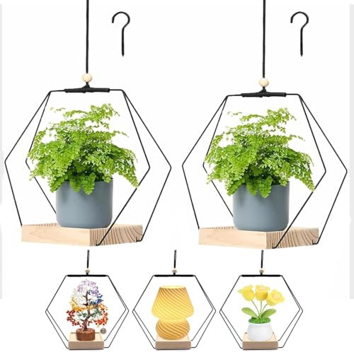 AIDODIA Blumenampel Hängend Innen - Metall Blumenampel Schwarz, Hängeampel Mit Holzsockel, Decke Hängende Pflanzer, Hängetopf Für Pflanzen Für Zimmerpflanzen Sukkulenten Luftpflanzen Kaktus (C 2PCS)