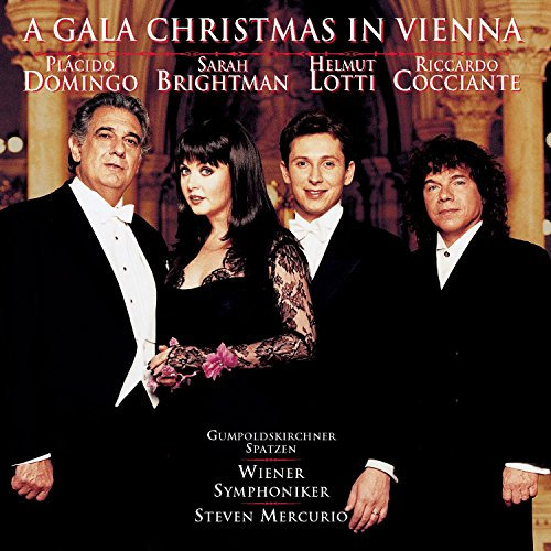 Gala Christmas in Vienna