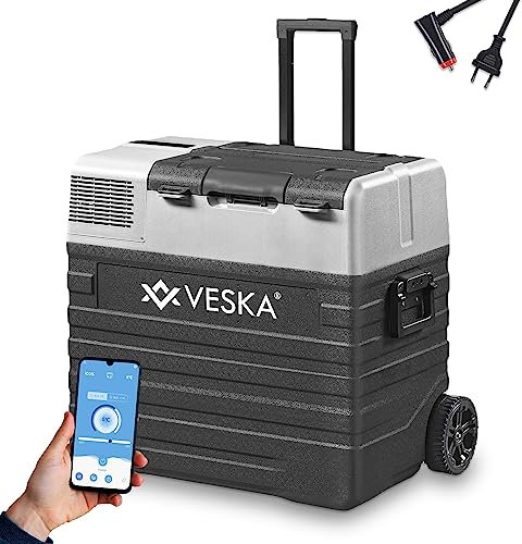 Kompressor Kühlbox elektrisch, Gefriertruhe mit APP-Steuerung, USB-Anschluss, 12/24V, 230V, Räder, transportabler Kühlschrank, Kühltruhe, Gefrierbox bis -20 °C für Auto, LKW, Boot (62L - anthrazit)