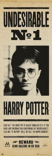 Up Close Poster de Porte Harry Potter - Undesirable N° 1 (53cm x 158cm) + Un Poster Surprise en Cadeau!