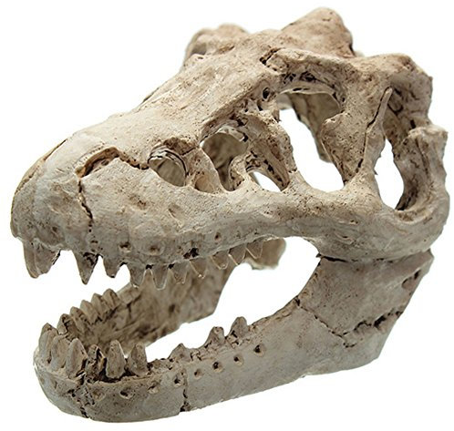 Demiawaking Harz Aquarium/Terrarium Dekoration Krokodil Schädel für Aquarium Harz Verzierung