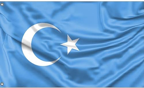 Kokbayraq Uyghurs Flagge | Einzigartiger Designdruck | Made in EU (90x150cm)