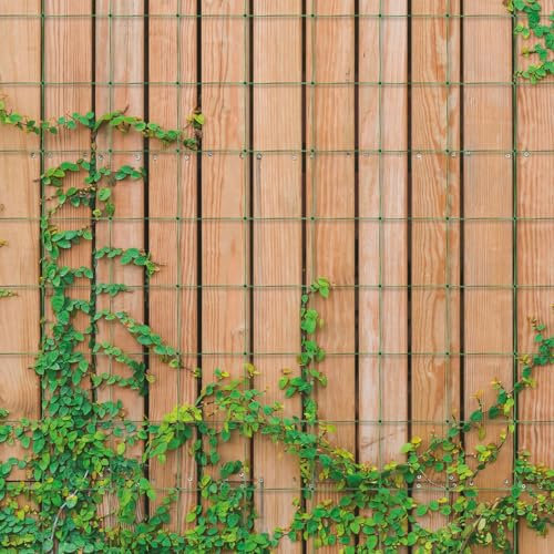 Green Garden Netting - Outdoor Polypropylene Trellis Mesh Net Support for Climbing Plants, Tall Flowers, Vegetables, Fruits, Sweet Pea, Beans, Tomato, Cucumber – Measures 1.7 x 4M with 15 x 15cm Holes