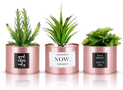 Kesote 3X Sukkulenten Künstlich mit Topf Rosegold Kunstpflanzen im Topf Pflanzen Kaktus Klein Deko für Büro Zuhause (Aufkleber Zufällig)