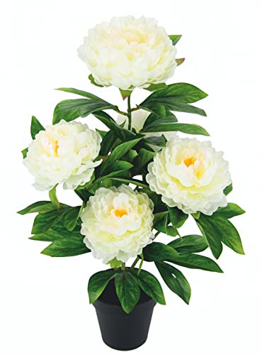 Künstlicher Päonienbusch im Topf 54cm Päonienstrauch Pfingstrose Bauernrose Päonien Rosenstrauch Kunst-Päonie Frühblüher Kübelpflanzen Seidenblumen Dekoblumen Kunstblumen Deko Hochzeitsdeko