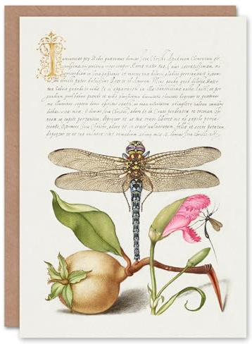Artery8 Model Book of Calligraphy Art Card Dragonfly Pear and Carnation