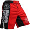 Hardcore Training Recruit Herren Kampfshorts Kampfsport MMA BJJ Fitness Muay Thai Boxen Grappling No Gi, rot, L
