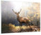Bilder auf Glas 100x70cm Glasbild Licht Hirsch Wald Groß Wanddeko Bild im Glas Schlafzimmer Küche Deko Wandbilder Dekoration Wohnzimmer Modern Wall Decor Glasdruck Wand Kunstdruck Art GAA100x70-4452