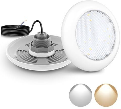 LyLmLe Lampe LED Piscine Vissable avec Filetage 2, 18W Projecteur Piscine 2 Couleurs Commutables Blanc 3000K & 6000K, Ø242mm, 12V AC Éclairage Lampe pour Piscines Hors-Sol en Acier