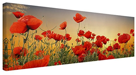 Bilderwelten Leinwandbild - Mohnblumenfeld im Sonnenuntergang - Panorama Quer, 30cm x 90cm