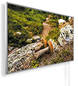 Infrarotheizung – Bildmotive – TÜV SÜD - 1200 Watt + Thermostat - Weißer Rahmen (15. Zwei Pilze im Wald)