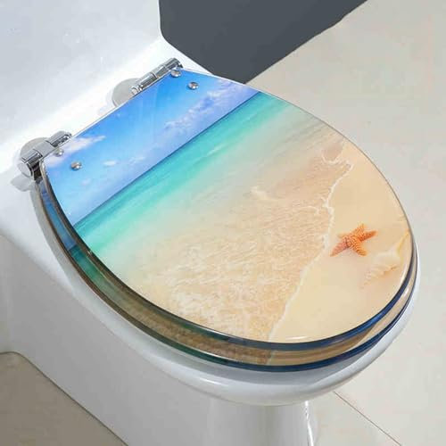 Unikicool Slow Close Resin Toilet Seat,Slow Quick Release Toilet Seat,Clear Resin Toilet Seats,Anti-Bacterial Loo Seat,Quick Release And Top Fastening,Suitable For Hotels And Hostels