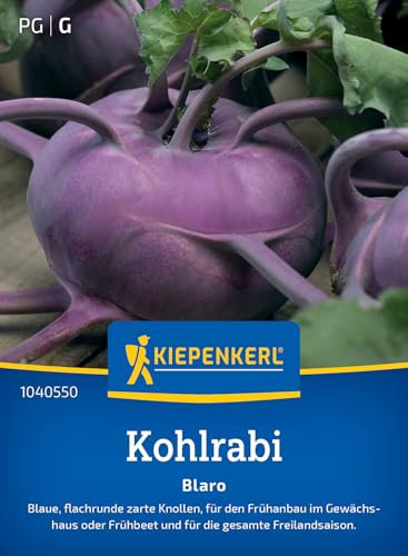 Kiepenkerl Kohlrabisamen Blaro 1040550 - Freilandsaison - Inhalt für 90 Pflanzen - Wuchshöhe 30-40 cm - Gemüsesamen, Samen Gemüse, Saatgut, Gemüsepflanzen