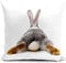 HUASHUZI Kissenbezug 40x40 cm hase Ostern deko Kissen Outdoor Bunny Geschenke hasenkissen Kissenbezug für sofakissen dekokissen gartenmöbel Balkon kissenbezüge kissenhülle