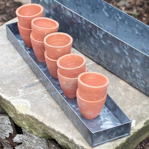 Crocus Collection Set of 10 Terracotta Nursery Seedling Grow Pots Gift Set Windowsill Planter in Galvanised Box