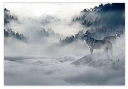 H1944Z_TV5BK Papier peint intissé Motif loups dans la nature 152 x 104 cm