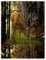 Dick Decke Weich Wärme Gemütlich Flanell-Fleece Sofadecke Deckeldecke Tier Hirsch Gras Essen Wald 125 x 200 cm