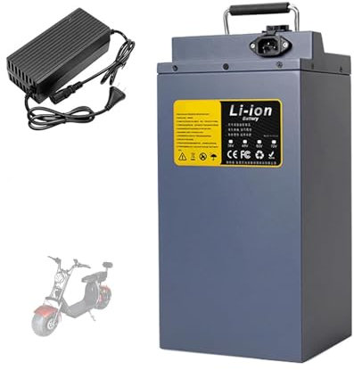 JHKJ 48-Volt-Batterie 48V 15Ah 20Ah 25Ah Lithiumbatterie mit Griff für 200W 350W 500W 750W 1000W 1200W Motor,48v25ah