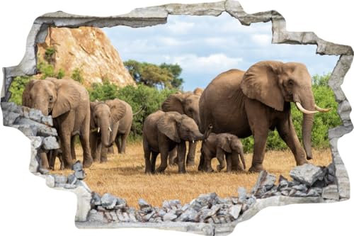 DesFoli Wandtattoo Elefanten Herde inf Afrika - verschiedene Rahmentypen DW000104 Farbe Grauer Stein Querformat, Größe 150 cm x 100 cm