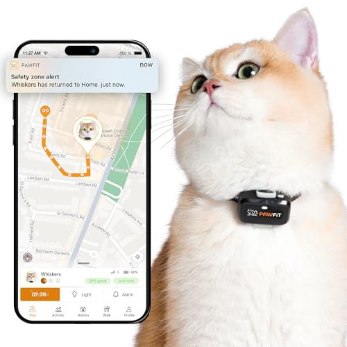 Pawfit Lite - Traceur GPS 4G pour chat - Suivi en temps réel - Surveillance des activités - Historique - Portée illimitée - Collier clic