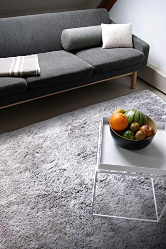 floor factory Moderner Teppich Delight Silber grau 140x200cm - edler Designer Teppich mit flauschig weichem Flor
