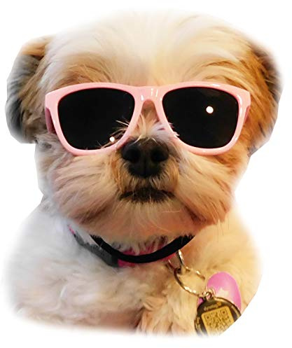 G014 Dog Pet 80s Sunglasses Goggles for Small Dogs up to 15lbs (Pink)