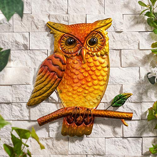 Creekwood Glass Wall Art – Owl Art - Garden Ornament Outdoor & Home décor Metal artworks for Garden shed wall, Garden fence Wall Hanging decorative Garden gifts - (26x33) cm.