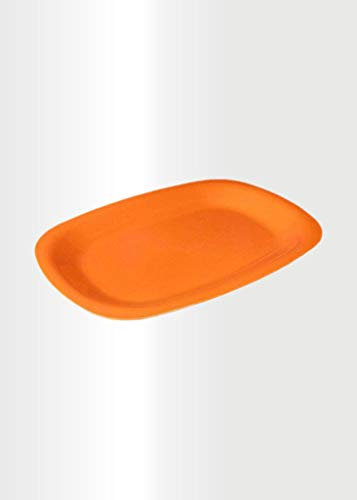 ECO 2 Pack Large 34.4 x 25.3 cm Sandwich Platter Trays | Set of 2 Plastic Platters | Plastic Buffet Trays for Parties, BBQs & Catering Events | Multi-Color Serving Trays (Orange)