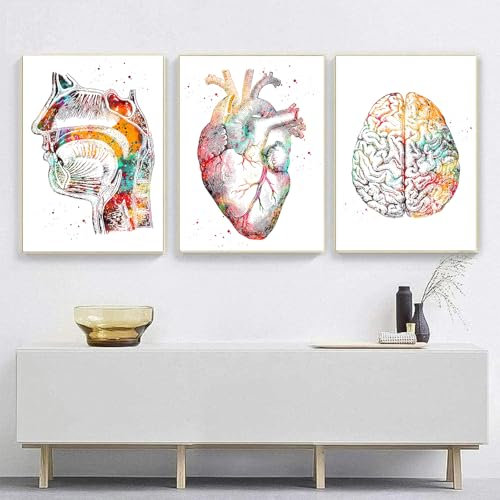 Anatomie Poste 3er-Set,Herz Gehirn Menschliche Anatomie Poster Krankenhaus Klinik Wandkunst Poster Medizin Wand Bilder-ohne Rahmen（D,40x60cm*3)
