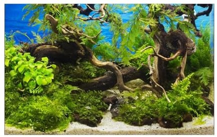 LUYSGBXR Aquarium Rückwand Aquarium Hintergrund Aufkleber Hintergrund Poster Pflanze Fisch Tank Dekoration Selbstklebende Tapete Hintergrund(40x80cm)