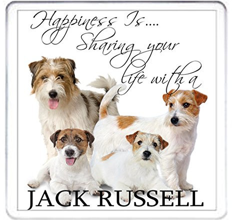 JACK RUSSELL COASTER, Happiness Is.. Jack Russell Gift. Matching Jack Russell Mug Available.