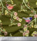 Soimoi 55 GSM 42 Zoll breit Viskose Chiffon Blumen-und Vogel Printed Meterware - Olivgrun