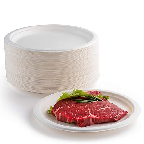 EVYIENEN 100 piatti di carta, bianchi,23 cm, 100% biodegradabili e compostabili, piatti usa e getta, ecologici, per picnic, barbecue (100 pezzi/23CM, bianco)