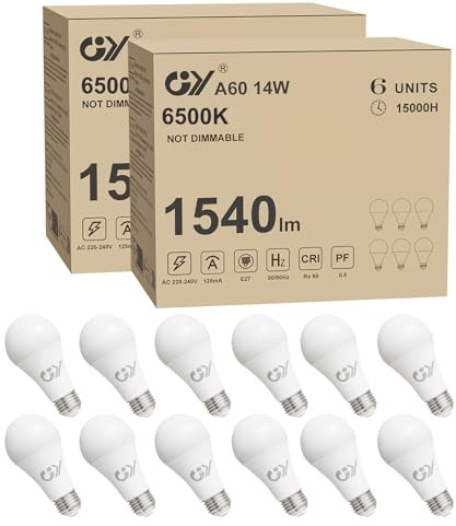 GY E27 LED Ultrahelle Energiespar Glühbirne, 14W Glühbirne E27, Ersetzt 100W lampe, A60 LED Birne 1540LM, 6500K Led Kaltweiss, 280° Abstrahlwinkel Energiesparlampe, Nicht Dimmbar, 6 Stück