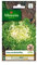 Vilmorin - Sachet graines Chicorée frisée de Ruffec