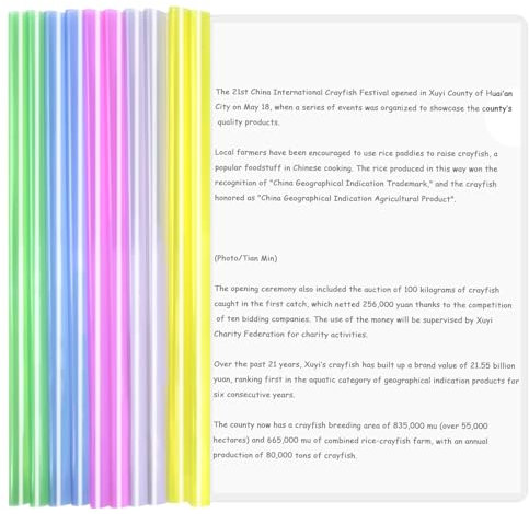 Zimoer 10 Stück A4 Sliding Bar Binder, Transparente Bericht Abdeckungen mit Schiebe Bar, Plastik Datei Ordner Schiebe Ordner Projekt Abdeckungen Ordnerhüllen für Schule Büro Dokumente Klassifizierung