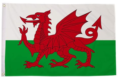 Wales Flagge - Fahne 90cm x 150cm - beste Qualität