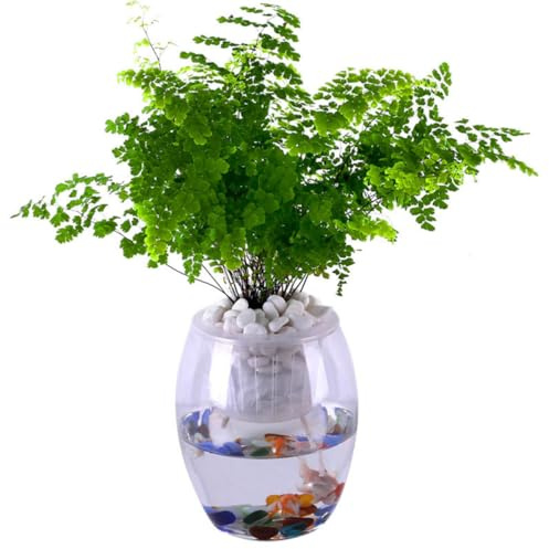 BCOATH Corde en Coton Hydroponique Absorbante pour Plantes et Pots, Corde à Mèche Blanche de 20 Mètres, Absorption Rapide d'eau, Culture Hydroponique Jardinage
