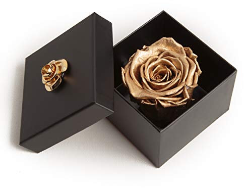 ROSEMARIE SCHULZ Heidelberg Ewige Rose Gold konserviert haltbar 3 Jahre in Rosenbox (Gold, 1 Rose)